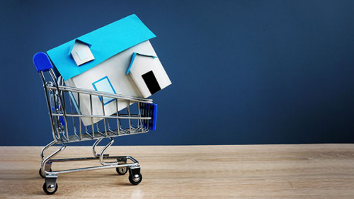 Haus-in-Einkaufswagen-241369957-AS-Vitalii-Vodolazskyi