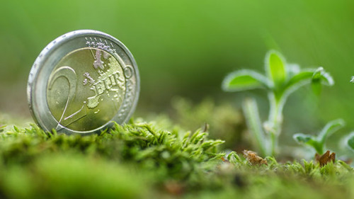 Geldstueck-Moos-296046078-AS-visiontop