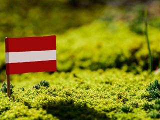 Oesterreich-Flagge-klein-238961580-AS-PT-pictures