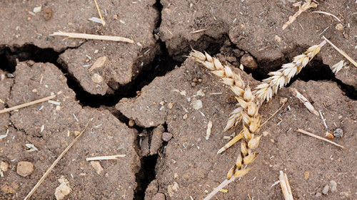 Trockener-Boden-215041611-AS-Steve