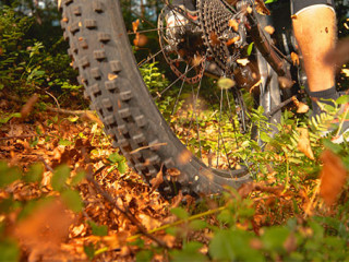 E-Bike-Herbstlaub-267164287-AS-helivideo