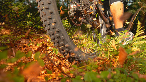 E-Bike-Herbstlaub-267164287-AS-helivideo