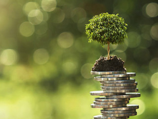 Bauemchen-auf-Muenzstapel-269947997-AS-lovelyday12