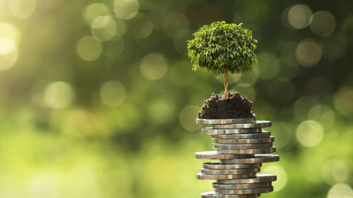 Bauemchen-auf-Muenzstapel-269947997-AS-lovelyday12