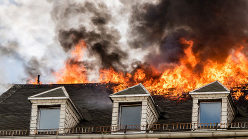 Hausbrand-134474558-AS-Animaflora-PicsStock