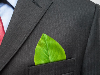 Anzugtraeger-Blatt-57972545-AS-Minerva-Studio