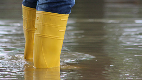 Gummistiefel-Hochwasser-100734525-AS-Rico-Loeb
