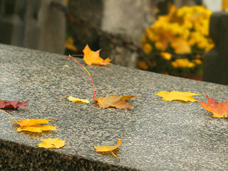 Friedhof-Herbst-Blaetter-178326374-AS-Pawel-Horazy