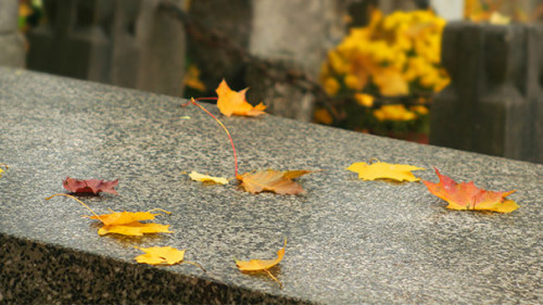 Friedhof-Herbst-Blaetter-178326374-AS-Pawel-Horazy