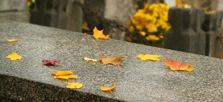Friedhof-Herbst-Blaetter-178326374-AS-Pawel-Horazy
