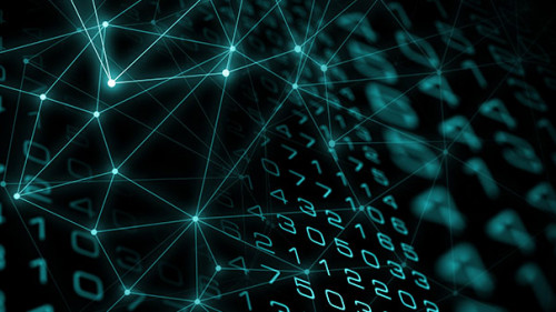 Code-273093007-AS-Pablo-Lagarto