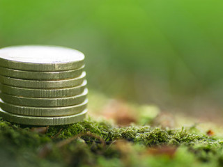 Muenzstapel-Moos-271957090-AS-visiontop