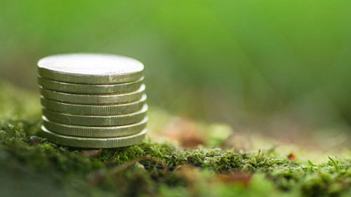 Muenzstapel-Moos-271957090-AS-visiontop