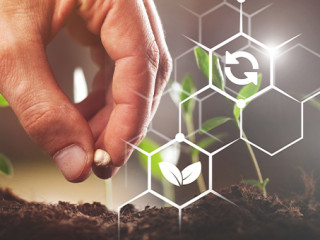 Hand-Spross-234645650-AS-BillionPhotos-com