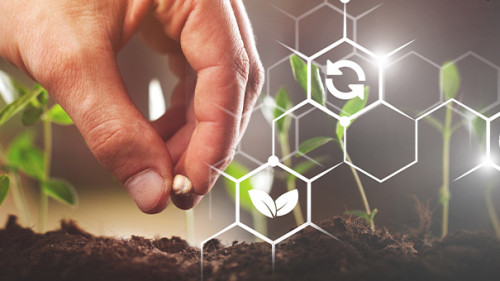 Hand-Spross-234645650-AS-BillionPhotos-com