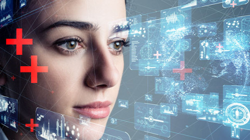 Frau-Cyber-Plus-281176269-AS-metamorworks