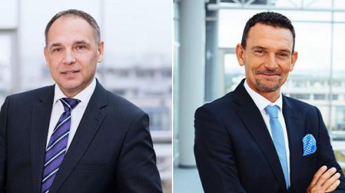 Hallmann-Volkmann-2020-VPV