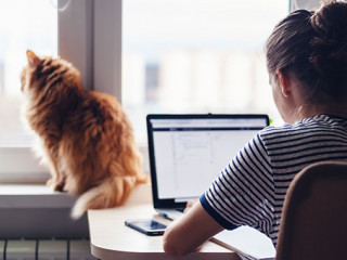 Frau-Homeoffice-201198183-AS-olezzo