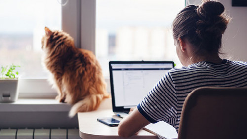 Frau-Homeoffice-201198183-AS-olezzo