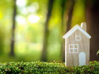 Haus-Wald-203000216-AS-lily