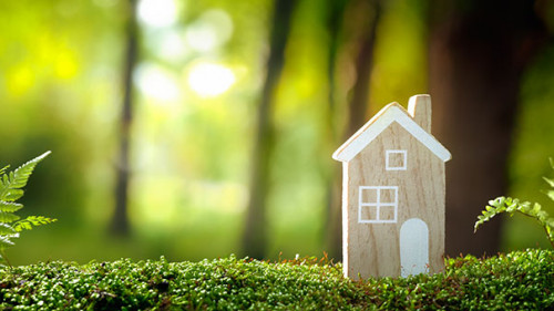 Haus-Wald-203000216-AS-lily