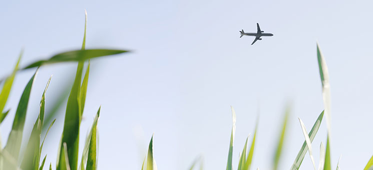 Pflanzen-Flugzeug-2878445-AS-merklicht-de