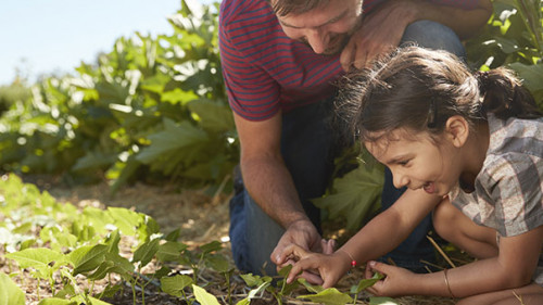 Vater-Tochter-Feld-158456750-AS-Monkey-Business
