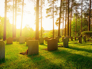 Friedhof-65530466-AS-stefanholm