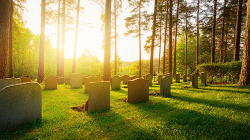 Friedhof-65530466-AS-stefanholm
