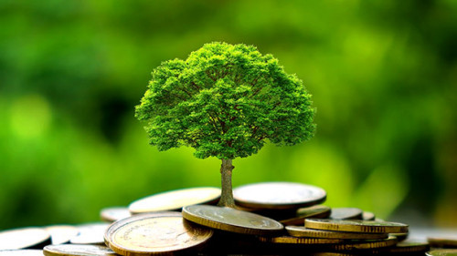 Baum-Muenzhaufen-284607826-AS-Arthon