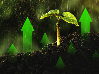 Pflanze-gruene-Pfeile-AS-396166475-mihacreative