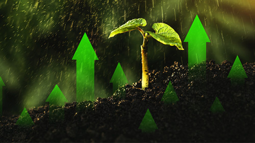 Pflanze-gruene-Pfeile-AS-396166475-mihacreative