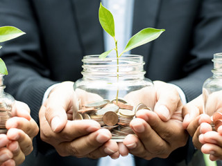 Anzugtraeger-Euro-Pflanze-135275744-AS-Atstock-Productions