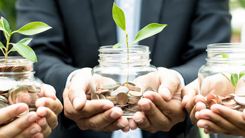 Anzugtraeger-Euro-Pflanze-135275744-AS-Atstock-Productions