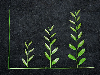 Pflanzen-Diagramm-103873929-AS-weerapat1003