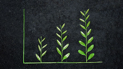 Pflanzen-Diagramm-103873929-AS-weerapat1003