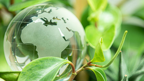 Weltkugel-Pflanzen-300992644-AS-vegefox-com