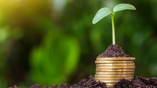 Muenzstapel-Pflaenzchen-135047944-AS-kurapy