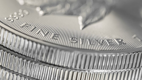 Silbermuetzen-284802587-AS-Sunshine-Seeds