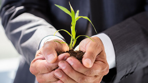 Anzugtraeger-Pflanze-220176082-AS-Andrey-Popov