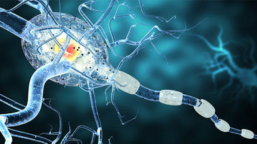 Multiple-Sklerose-77977292-AS-ralwel