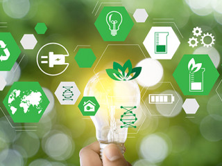 Gluehbirne-Nachhaltigkeit-209291980-AS-onephoto