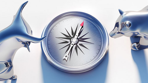 Bulle-Kompass-Baer-200954674-AS-peterschreiber-media