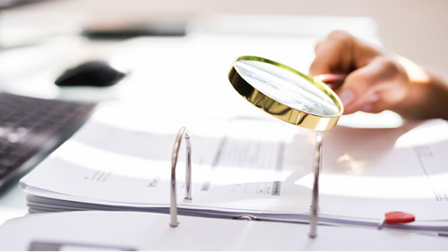 Papier-Frau-Lupe-357298238-AS-Andrey-Popov