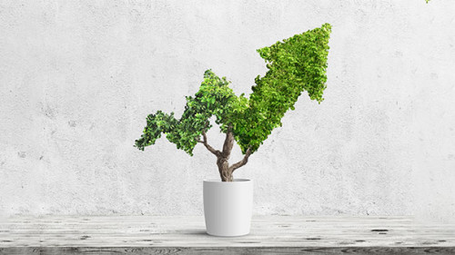 Pfeil-gruen-Pflanze-192983642-AS-robert