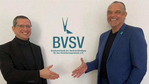 Wirth-Schwarz-2021-BVSV