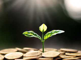 Spross-Muenzen-379065999-AS-Arthon