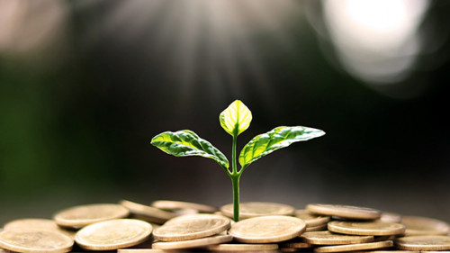 Spross-Muenzen-379065999-AS-Arthon