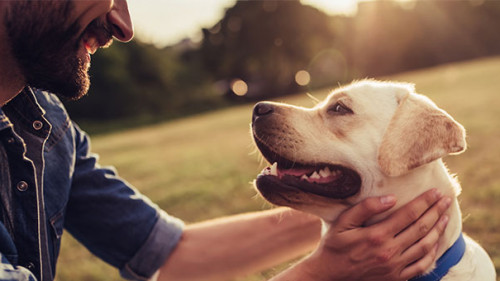 Mann-Hund-170844315-AS-Vasyl