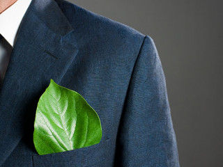 Anzugtraeger-Blatt-15558637-AS-Rido